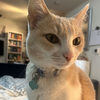 isabelmay1214